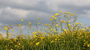 NXËNËSIT DHE ARSIMTARI NGA BILAÇI KANË OFRUAR NDIHMË BANORËVE TË PREKUR NGA PËRMBYTJET
