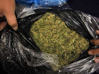 ARRESTED IN PRESEVO DUE TO MARIJUANA