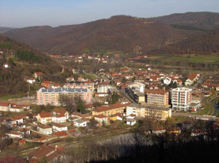 MEDVEGJA DHE MAJA E ZEZË, QYPA PËRPLOT ME ARI