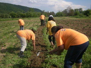 ПРОГРЕС РАСПИСАО КОНКУРС ЗА ПРОЈЕКТЕ КОЈИ ОСНАЖУЈУ ЕКОНОМИЈУ