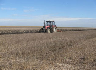 KONKURSI PËR INKURAJIMIN E INVESTIMEVE NË PRODHIMIN PRIMAR  TË BUJQËSISË