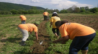ПРОДУЖЕН РОК ЗА КОНКУРС ЕВРОПСКОГ ПРОГРЕС- А ЗА ПАРТНЕРСКЕ ПРОЈЕКТЕ ОПШТИНА И ОРГАНИЗАЦИЈА ЦИВИЛНОГ ДРУШТВА