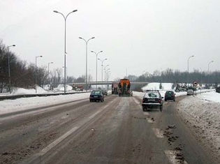 “IF IT’S COLD, IT’S NO LION”