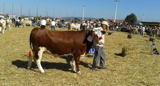 MËSHQERA NGA KONÇULI NË MESIN E 15 MË TË MIRAVE NË SERBI