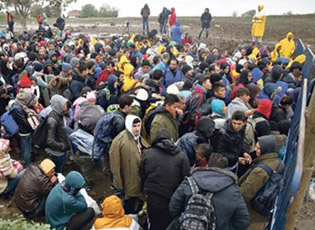 ДОНАЦИЈА ЈАПАНА ЗА ОПШТИНЕ ПОГОЂЕНЕ ИЗБЕГЛИЧКОМ КРИЗОМ