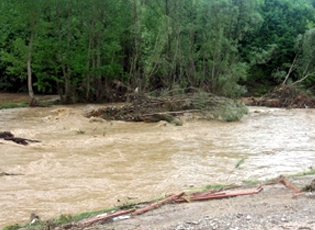 TË RESHURAT E MËDHA KANË SJELLUR PROBLEME NË MEDVEGJË