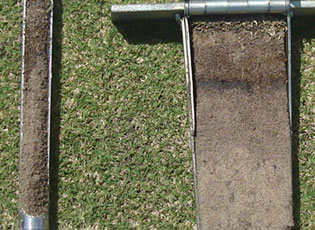 ANALIZA FALAS E TOKËS