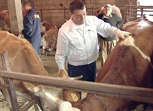 FILLON VAKSINIMI I LOPËVE KUNDËR “LËKURËS SË ËNJTUR”