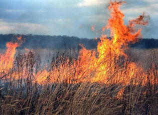 KUJDES, KËRCËNOJNË ZJARRET
