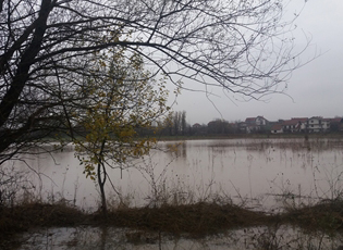 ПОПЛАВЉЕНА БУЈАНОВАЧКА БАЊА – 10.11.2016.
