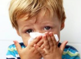 EPIDEMIJA GRIPA U LESKOVCU, MEDVEĐI, LEBANU, BOJNIKU I VLASOTINCU