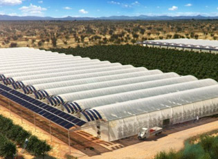 MJETET E PAKTHYESHME PËR SERRA NGA MINISTRIA E BUJQËSISË