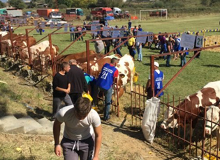 BUJQËVE 23 MILIONË DINARË