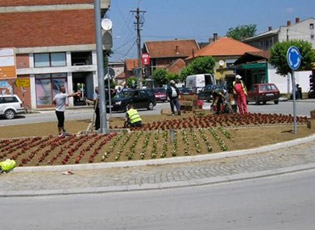 LULE NË RRETHRROTULLIM