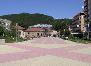 STRENGTHENING OF ECONOMIC POTENTIAL IN MEDVEDJA