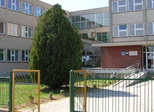 NXËNËSIT E SHF “BRANKO RADIÇEVIQ” PËR SHOKËT EMIGRANTË