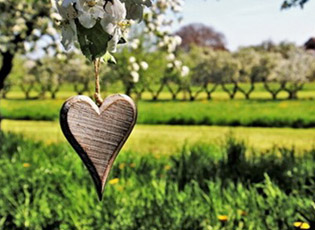 KONKURSI PËR MBËSHTETJEN E PROJEKTEVE TË SHOQATAVE NË FUSHËN E FORCIMIT EKONOMIK TË GRAVE NË FSHAT (AFATI 14.08.2018)