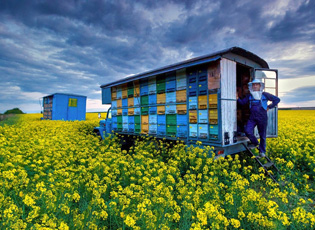 FILLON DORËZIMI I KËRKESA PËR SUVENSIONET E BLETARËVE