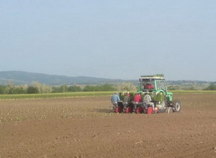 ЈАВНИ ПОЗИВ ЗА ПОДНОШЕЊЕ ЗАХТЕВА ЗА ОСТВАРИВАЊЕ ПРАВА НА ПОДСТИЦАЈЕ ЗА ИНВЕСТИЦИЈЕ У ФИЗИЧКУ ИМОВИНУ ПОЉОПРИВРЕДНОГ ГАЗДИНСТВА ЗА НАБАВКУ НОВИХ МАШИНА И ОПРЕМЕ ЗА УНАПРЕЂЕЊЕ ПРИМАРНЕ ПРОИЗВОДЊЕ БИЉНИХ КУЛТУРА У 2019. ГОДИНИ