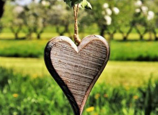 ZA RAZVOJ SEOSKOG TURIZMA PODSTICAJI DO TRI MILIONA DINARA