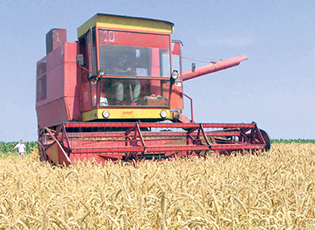 DERI NË FUND TË JAVËS KONKURS I RI IPARD