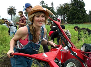 KONKURS PËR NDARJEN E MJETEVE TË PAKTHYESHME BUJQËVE TË RINJ (AFATI:31 DHEJTOR 2019)