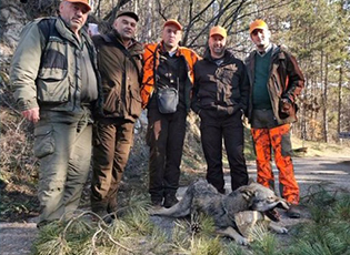 ЛУ „ГОЛУБ“: ВУК, ЛИСИЦА, ДИВЉА МАЧКА И ПРОСЛАВА НА ЈЕЗЕРУ ЗА КРАЈ СЕЗОНЕ