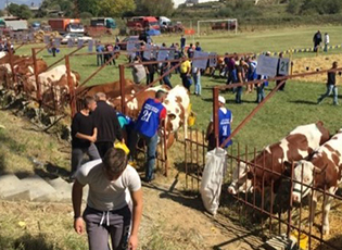 БУЈАНОВАЦ ДОБИЈА НОВУ СТОЧНУ ПИЈАЦУ