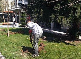 SPRING PLANTING OF GREENERY IN PUBLIC PLACES IN BUJANOVAC