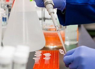 67 CORONAVIRUS-INFECTED PERSONS IN PCINJ DISTRIT, NO TESTING POSITIVE FOR CORONAVIRUS PERSONS IN BOSILEGRAD AND TRGOVISTE