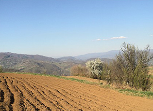 LOANS FOR FARMERS AND FINACIAL ASSISTANCE AVAILABLE AS OF TODAY