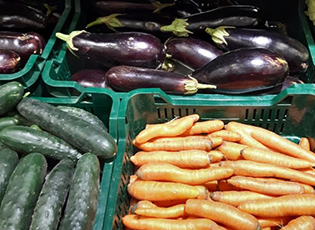 GREEN MARKETS IN MEDVEDJA STARTED OPERATING