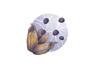 ДДП ПОДРЖАВА ИНИЦИЈАТИВЕ КОЈИМА СЕ ПРОМОВИШЕ СЛОБОДА НА МРЕЖИ И ДИГИТАЛНА ЗАШТИТА БРАНИТЕЉА ЉУДСКИХ ПРАВА (Рок: 22. мај 2020)