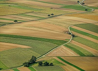CALL FOR FUNDS FOR THE PROTECTION, FIXING UP AND USE OF AGRICULTURAL LAND (DEADLINE: JULY 6, 2020)