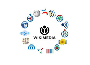 CALL FOR THE IMPLEMENTATION AND FINANCING OF VOLUNTEER PROJECTS OF WIKIMEDIA SERBIA 2021 (DEADLINE: AUGUST 10, 2020)