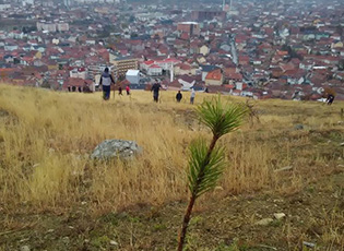 НЕ ЗНА СЕ ТАЧАН БРОЈ ОБОЛЕЛИХ У ПРЕШЕВУ