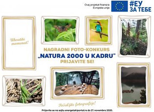 “NATURA 2000 IN THE SHOT” PHOTO COMPETITION OPENED (DEADLINE: NOVEMBER 27, 2020)