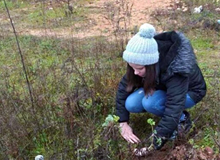 УЧЕНИЦИ ШКОЛЕ „СВЕТИ САВА“ЗАСАДИЛИ 120 ЧЕТИНАРА У ОКОЛИНИ БУЈАНОВЦА