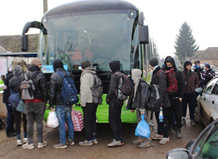 ABOUT 290 ILLEGAL MIGRANTS WERE FOUND NEAR KIKINDA, WHO WERE TRANSPORTED TO THE RECEPTION CENTER IN PRESEVO