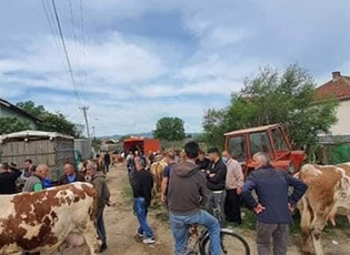 KOMUNA E BUJANOCIT PAGUAN SUBVENCIONET PËR BUJQËSI PËR KONKURSIN NGA VITI 2019