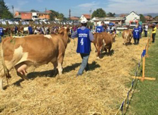 ПРОДУЖЕН РОК ЗА ПРИЈАВУ ПОЉОПРИВРЕДНИКА ЗА СУБВЕНЦИЈЕ