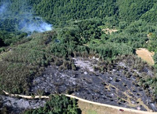 ВУЛИН: ИНСИСТИРАЋУ НА ПООШТРАВАЊУ КАЗНЕНЕ ПОЛИТИКЕ ПРЕМА СВИМА КОЈИ ИЗАЗОВУ ПОЖАР