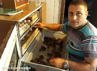 IVANI NGA LEVOSOJA: NGA RRITJA E SHKURTEVE MUND TËJETOHET, POR SHTETI DUHET TË NDIHMOJË