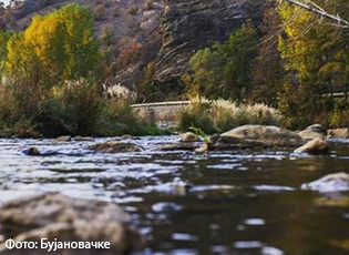 THIRRJE PUBLIKE PËR MBROJTJEN E PÇINJËS MË 18 SHKURT NË BUJANOC