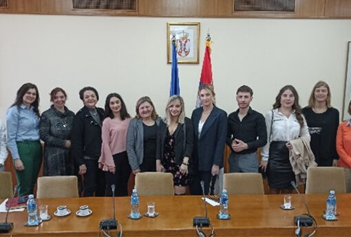 PRAKTIKANTËT E PROGRAMIT TË PRAKTIKËS PROFESIONALE VIZITOJNË SHËRBIMIN E TRUPIT KOORDINUES DHE MINISTRINË E TË DREJTAVE TË NJERIUT DHE TË PAKICAVE DHE DIALOGUT SOCIAL