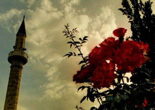 URIMI I SHERBIMIT TE TRUPIT KOORDINUES RRETH FESTES SE FITER BAJRAMIT