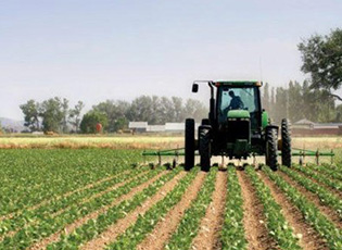 BUJQËVE NGA KOMUNA E BUJANOCIT 5,3 MILION MË SHUMË SE VITIN 2021