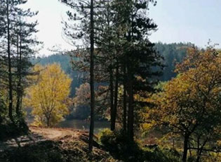 I GATSHËM PROJEKTI PËR LIQENIN E BUJANOCËS INVESTIM DERI MË100.000 EURO