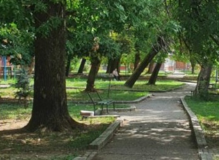 RREGULLOHET PARKU DHE RIPRTRIHET GJELBËRIMI NË BUJANOC