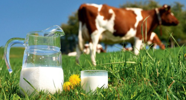 ЈАВНИ ПОЗИВ ЗА ПОДНОШЕЊЕ ЗАХТЕВА ЗА ОСТВАРИВАЊЕ ПРАВА НА ПРЕМИЈУ ЗА МЛЕКО ЗА IV КВАРТАЛ 2023. ГОДИНЕ.